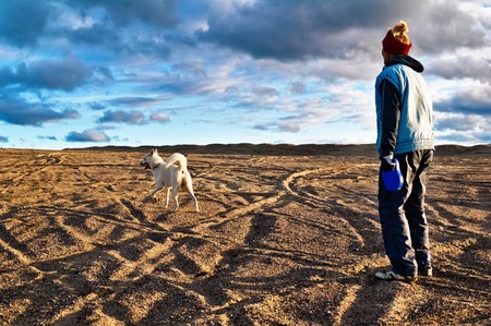 The woman plays with a dog in the fall on the natureの写真素材