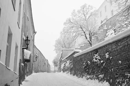 Street of city of Tallinnの写真素材