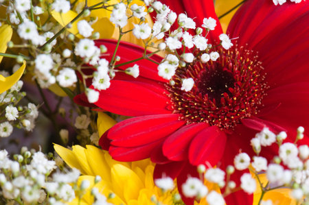 Autumn bouquet of flowers a close up, a background