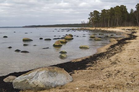 Seacoastの写真素材