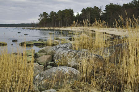 Seacoastの写真素材