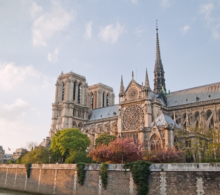Notre Dame de Paris in spring time. View across the Seine River, Franceの写真素材