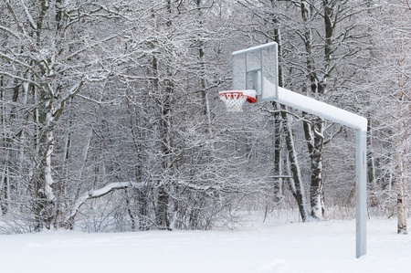 Basketball ground fallen asleep by a snowの写真素材