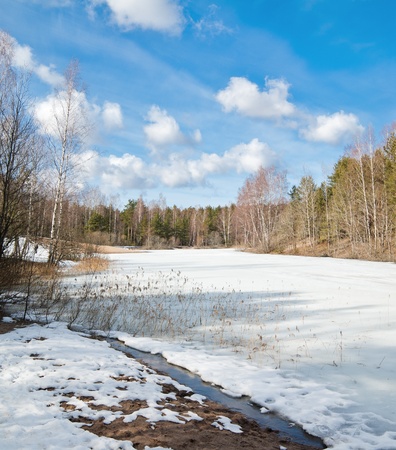 Landscape at the forest lake early springの写真素材