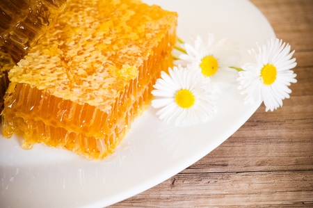 honeycomb with daisies on white plateの写真素材