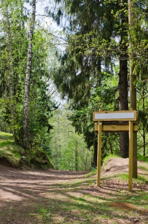 Wooden sign board on the natural trail  In the  forest parkの写真素材