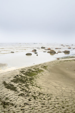  Baltic sea in a fog