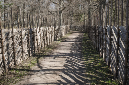 Wooden fence in the spring in the countryside