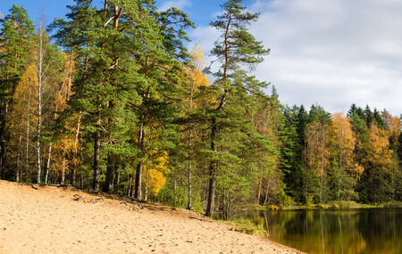 Beautiful autumn landscape with forest Lakeの写真素材
