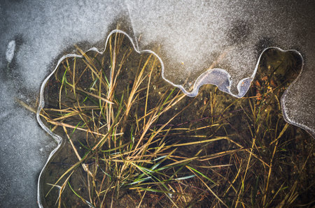 Melting ice on a pond in spring, close-up