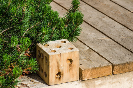 Path in a garden, a close upの写真素材