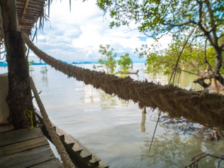 Tree leaves over luxury beach. Located Yao Noi Island. Peaceful life at Koh Yao Noi, Phang Nga, Thailand.の写真素材