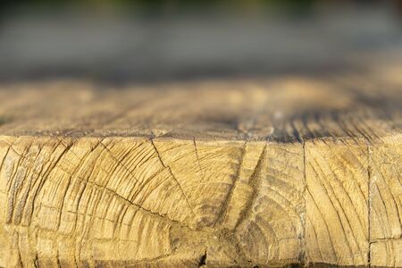 Old wood rough texture background with knots with copyscapeの写真素材
