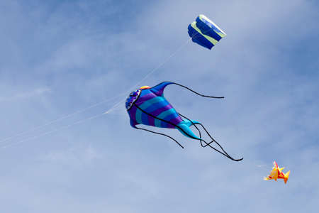 Fish-like kite flying in mid-air during the wind and kite festival in Porspoder, Brittany.の写真素材
