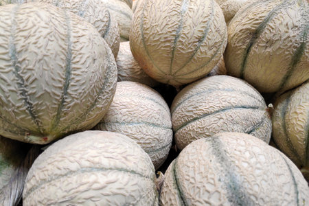 Full frame close-up on a stack of cantaloupes on a market stall.の写真素材
