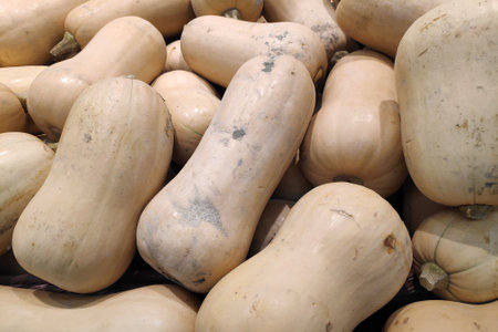 Full frame close-up on a stack of Butternut Squash on a market stall.の写真素材
