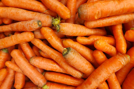 Close-up on a stack of carrots in a market stall.の写真素材