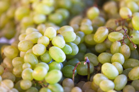 Close-up on a stack of White Grapes for sale on a market stall.