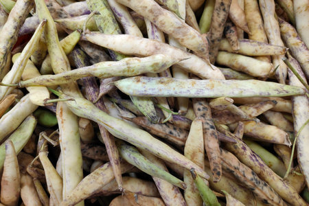Close-up on a stack of Coco de Paimpol beans on a market stall.