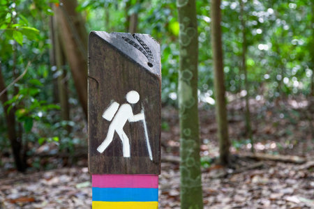 Hiking sign in the trail around the MacRitchie Reservoir in Singapore.