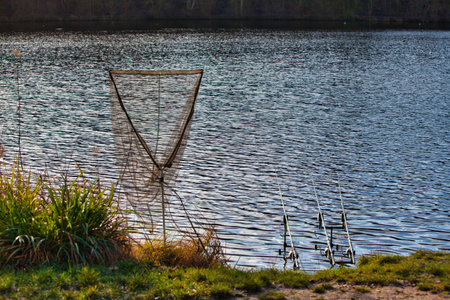 Hand net and three fishing rods at the edge of a pond.
