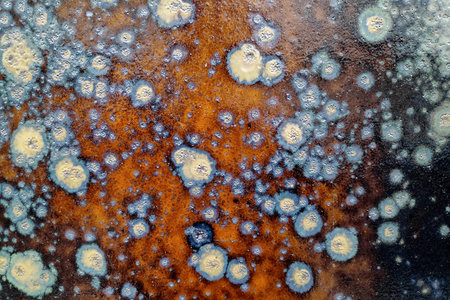 Close-up on a ceramic glaze.