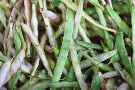 Close-up on a stack of Common beans on a market stall.