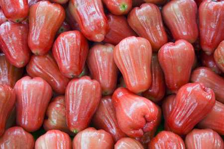 Close-up on a stack of rose apples for sale a market stall.の写真素材
