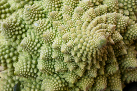 Close-up on a romanesco broccoli on a market stall.の写真素材