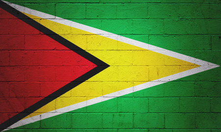 Flag of Guyana painted on a cinder block wall.の写真素材