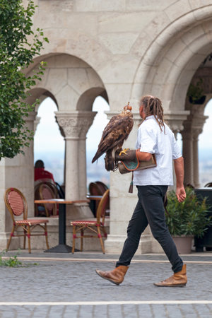 Budapest, Hungary - June 22 2018: Falconer walking with his hawk on his left arm at the terrace of the Fisherman's Bastion (HalÃ¡szbÃ¡stya) around Matthias Church.のeditorial素材