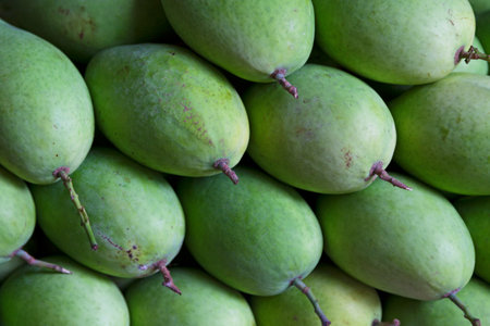 Close-up on a stack of green mangoes for sale on a market stall.の写真素材