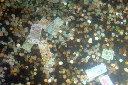 Banknotes and coins at the bottom of the Roman baths of Bath.