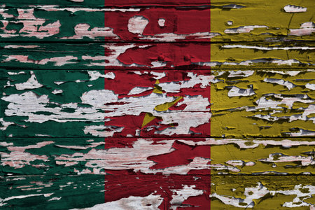Flag of Cameroon painted on a grunge wooden board.の写真素材