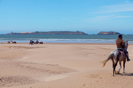 Essaouira, Morocco - January 29 2019: Morrocan man horse riding with behind, dromaderies resting in front of Mogador Island.のeditorial素材