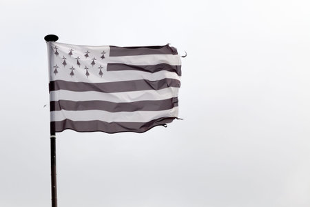 The flag of Brittany is called the Gwenn-ha-du, which means white and black in Breton. It is also unofficially used in the dÃ©partement of Loire-Atlantique although this now belongs to the Pays de la Loire and not to the rÃ©gion of Brittany, as the territory of Loire-Atlantique is historically part of the province of Brittany.の写真素材