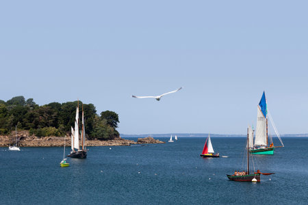 Douarnenez, France - July 17 2022: Sailboats moored opposite Tristan Island (including La Cancalaise and the NÃ©buleuse) during the Douarnenez maritime festival.のeditorial素材