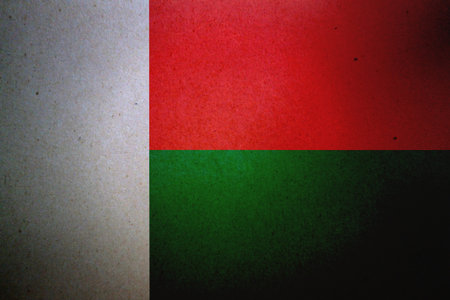 Flag of Madagascar printed on a paper sheet.の写真素材