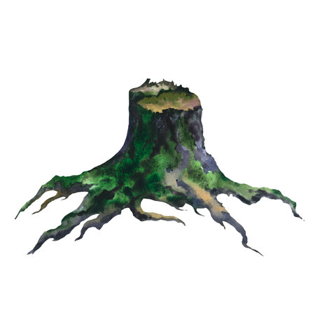 Picture of an old stump hand painted in watercolor on a white background. Watercolor realistic illustration. Tree cut trunk with green moss and grass.の写真素材