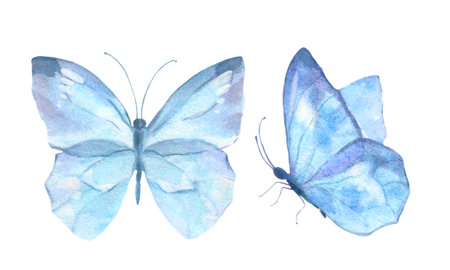 A set of delicate cute blue butterflies. Watercolor illustration isolated objects on a white background. For decoration, design of romantic, wedding events, textiles, poscards, card making.の写真素材