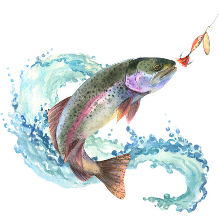 Watercolor illustration, trout jumping out of the water for bait. Composition perch and wave with water splash isolated on white backgroundの写真素材