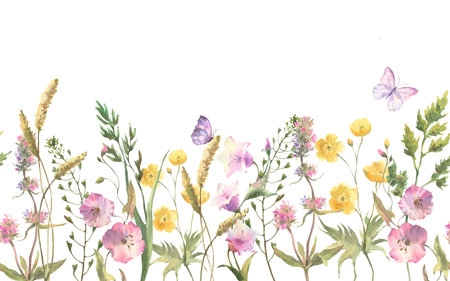 Seamless border with Herbs and wild flowers, leaves, butterflies. Botanical Illustration on white background. Template with place for textの写真素材