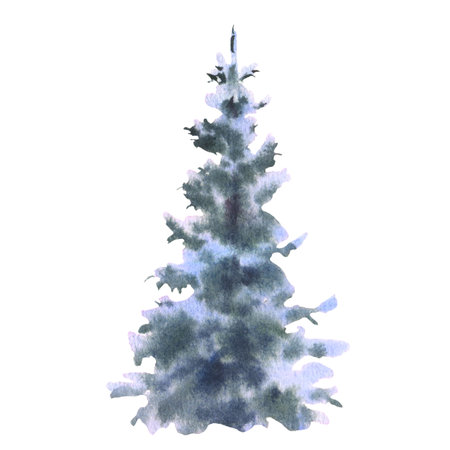 Watercolor illustration snowy fir tree. Hand painted Christmas woodland forest winter scene, snowflakes, fir tree, isolated on white background.の写真素材
