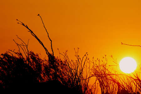 Mexico Sunsetの写真素材