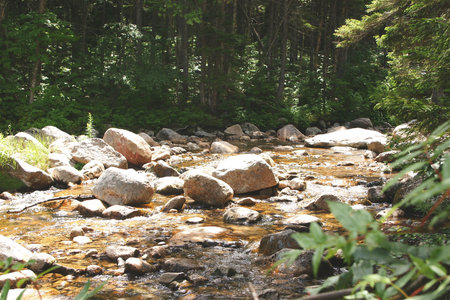 River Bedの写真素材