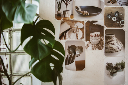 Beautiful decorated wall with photos of ceramic ware and big green plant, focus on picturesの写真素材