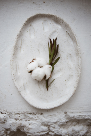 Top view on chamotte clay oval plate with cotton flower and leucadendron twig on white windowsill in workshopの写真素材