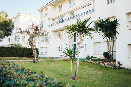 White living house with palm trees and green lown in townの写真素材