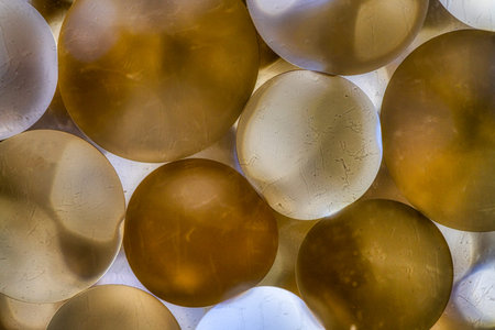 Abstract image of oil droplets in water