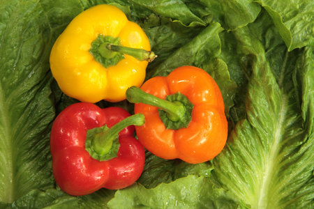 Three colorful Bell Peppers on a bed of lettuce leaves